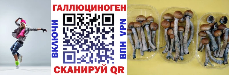 Галлюциногенные грибы прущие грибы  Жуковка 